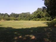 Роздольне з panoramio.com