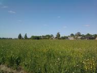 Липне з panoramio.com