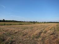 Немирів з panoramio.com - Немиров