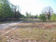 Пугач з panoramio.com