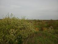 Доброжанове з panoramio.com