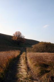 Озеро з panoramio.com