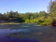 Перекопівка з panoramio.com