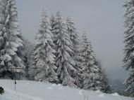 Стара Красношора з panoramio.com