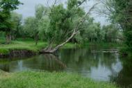 Новоайдар з panoramio.com
