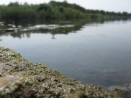 Сергіївка з panoramio.com - Сергіївка