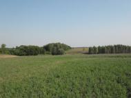 Новая - Последние фото