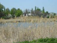 Shyshkyne - Latest photos