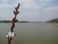 Золотоношка з panoramio.com