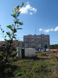 Усатове з panoramio.com