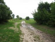 Деревини з panoramio.com