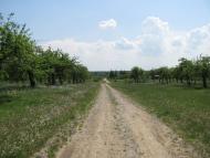 Черемошне - Останні фото