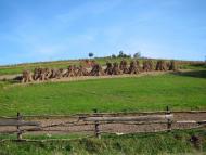 Біще з panoramio.com