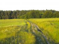 Лідихів з panoramio.com