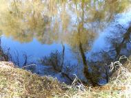 Думанці з panoramio.com