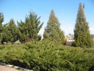 Добрятин з panoramio.com