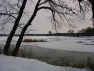 Підлісне з panoramio.com