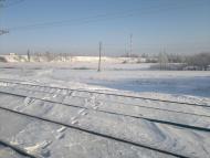 Коваленки з panoramio.com