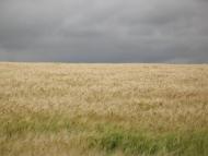 Малишівка з panoramio.com