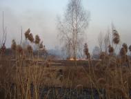 Будище з panoramio.com