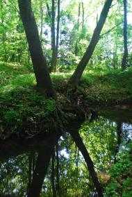 Стебник з panoramio.com