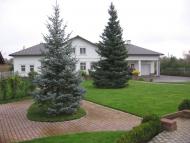 Мельники - Останні фото