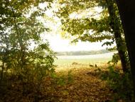 Голенищеве з panoramio.com