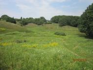 Барчани з panoramio.com