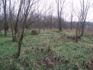 Софіївка з panoramio.com