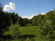 Рудка з panoramio.com