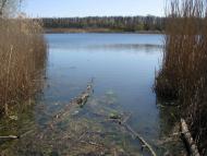 Радушне з panoramio.com