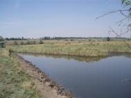 Олексіївка - Останні фото