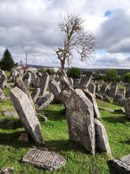 Підгайці з panoramio.com