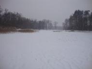 Ражнів з panoramio.com