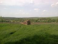 Білоусівка з panoramio.com