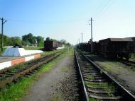 Селевинці з panoramio.com