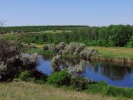 Матроно-Василівка - Останні фото