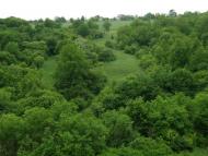 Айдар-Миколаївка з panoramio.com
