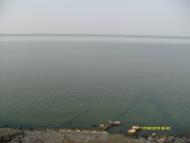 Плавні з panoramio.com