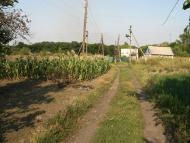 Новожеланне з panoramio.com