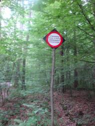 Великі Коровинці з panoramio.com