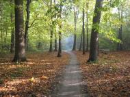 Смига з panoramio.com