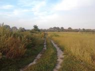 Березань з panoramio.com