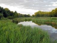 Шапіївка з panoramio.com