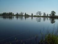 Пугач з panoramio.com