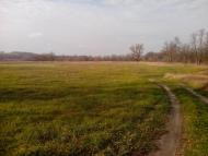 Барилівка з panoramio.com