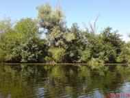 Нова Збур'ївка з panoramio.com