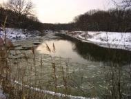 Підлісне з panoramio.com - Pidlisne