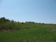 Аркадівка з panoramio.com