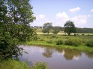 Підлісне з panoramio.com